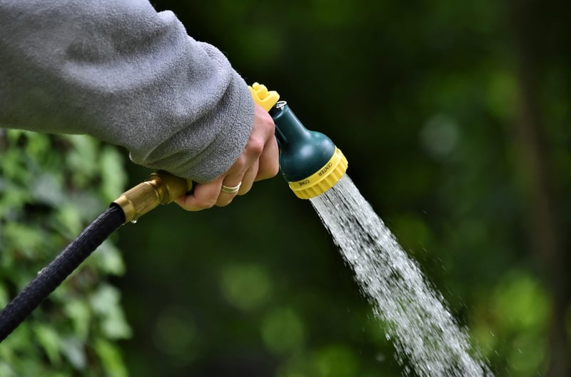 Self-Watering System